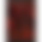 Red Leather (Carpenter 72) (preview)