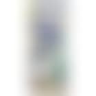 View from the window (C. 215) (preview)