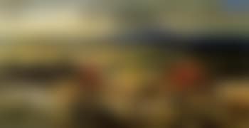 Caravane au palanquin rouge, traversant le gue (preview)
