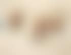 Portrait de trois Algeriens (preview)