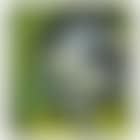 Head of Mrs Eyles (preview)