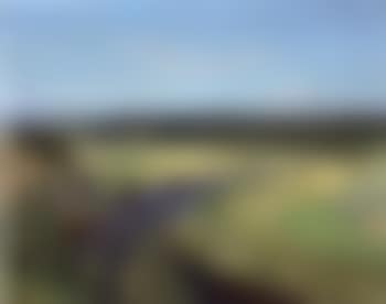Vestenötting a. d. Thaya (preview)