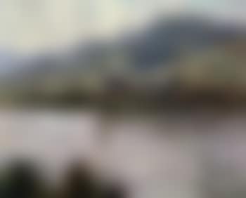 Blick auf Spitz in der Wachau (preview)