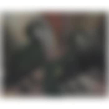 Green Cormorants (preview)