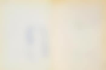 L'Angelus de Millet (preview)