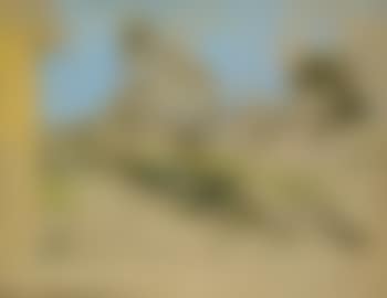 Paysage (preview)