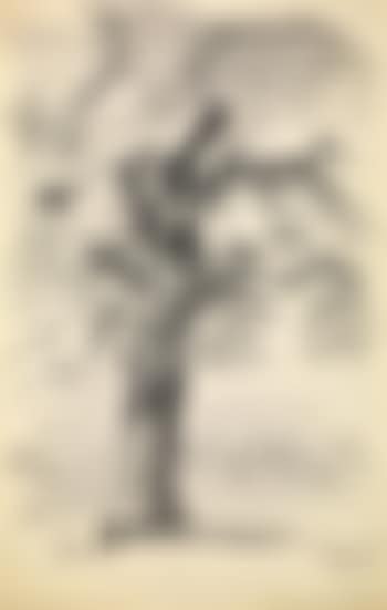 L'arbre (preview)