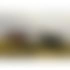 Two horses in an extensive landscape (preview)