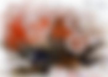 Blumen (preview)