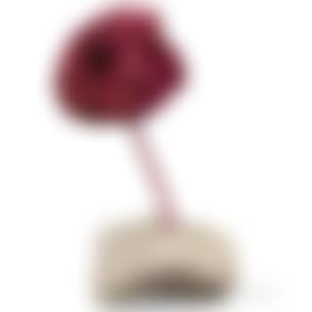 SE 200, Rosa (preview)