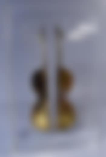 Sculptured dissected Violin in perspex box (preview)