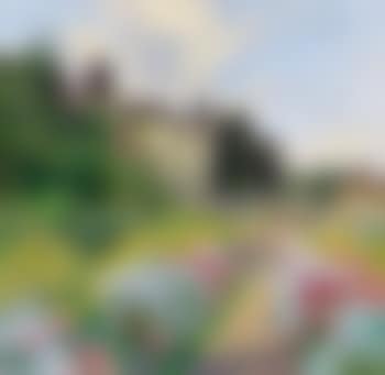 Schloss Maissauen (preview)
