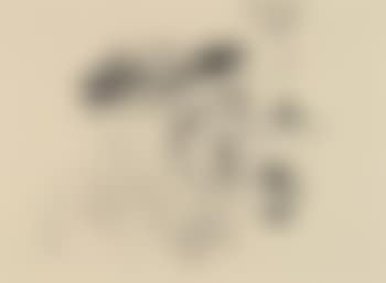 Ohne Titel (preview)