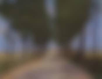 Allee mit Blick auf St. Anna Termoiden in der Ferne (preview)