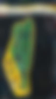 Umschlungener Ort (preview)