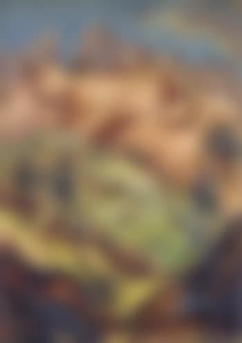 Dolomiten (preview)