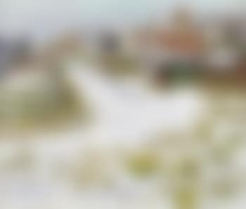 Newport in the snow (preview)