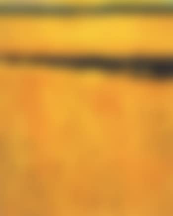 (Sonne) Felder. Strahlung (preview)