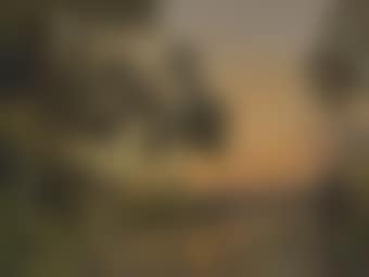 Florida Sunset (preview)