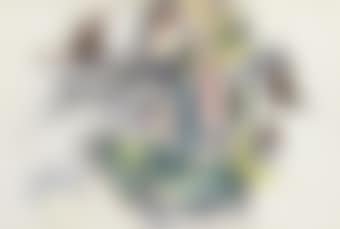 Flowers and Cucumbers (preview)