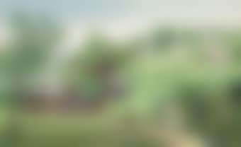 The Plantation (preview)