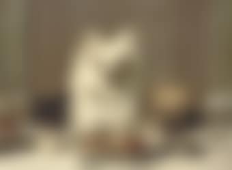 Exemplary behavior (preview)