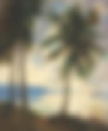 Palm trees, Dominican Republic (preview)