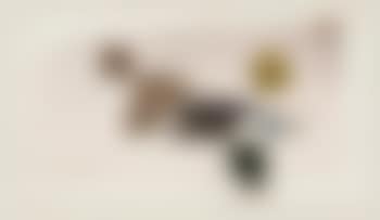 A.12.April 64 (preview)