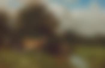 Cattle by a stream (preview)