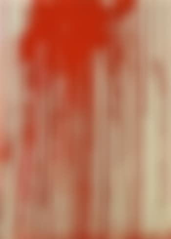 Schuttbild (preview)