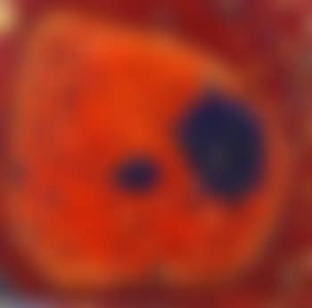 Ohne Titel (preview)