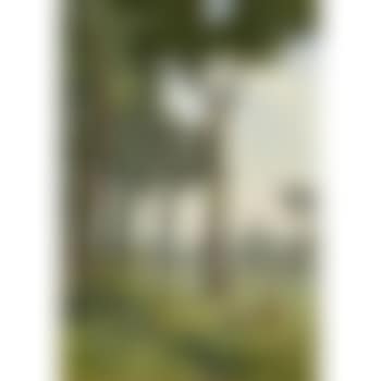 Eichwaldlichtung (preview)