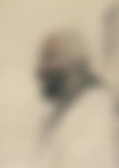Bodhidharma (preview)