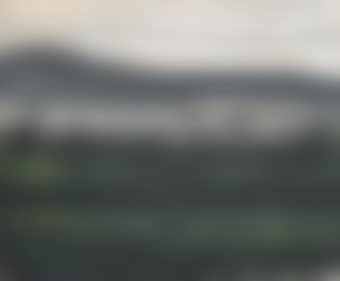 Lotus Pond (preview)