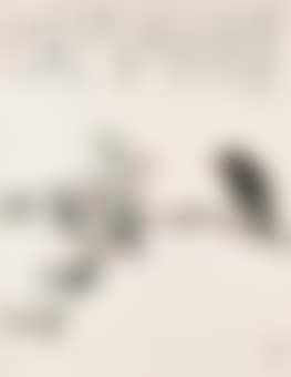 Bird and Peach Blossom (preview)