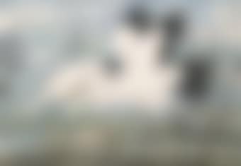 Two Cranes (preview)