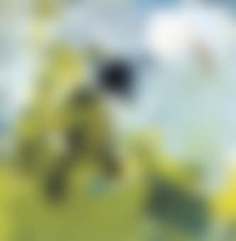 Paysage No 9 (preview)