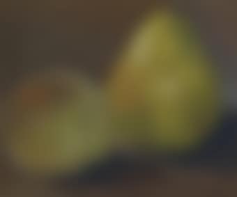 Pêche et poire (preview)