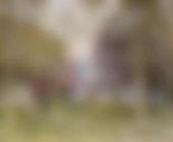 Promenade dans la forêt (preview)