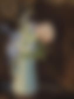 Bouquet de fleurs dans un broc (preview)