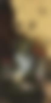 Still life with butterflies (preview)