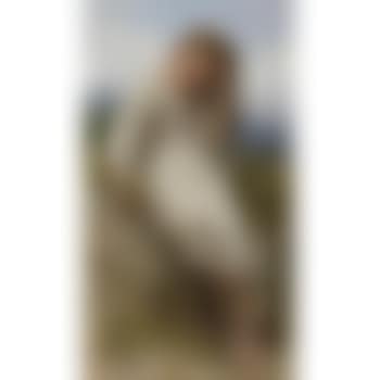 La petite maraudeuse (preview)