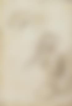 Saint Jerome attended by angels (preview)