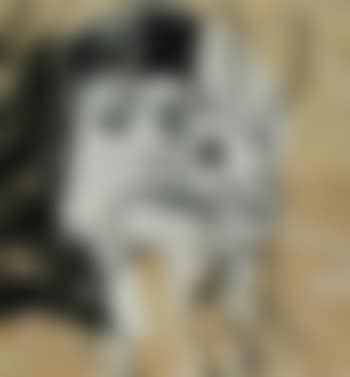 Bunny girl (preview)