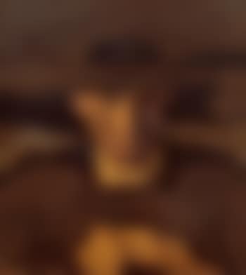 Bauer (preview)