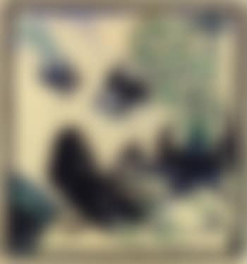 Die Dohle und die Pfauen (preview)