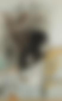 Labros (preview)