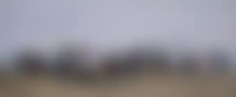 Scène de plage à Trouville (preview)
