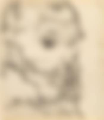 Portrat Franz Hauer (preview)