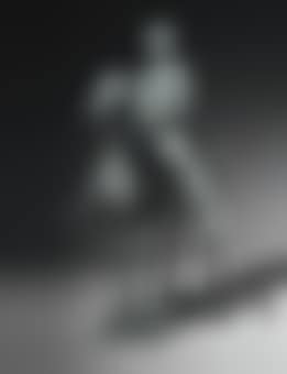 Gentiluomo a cavallo (preview)